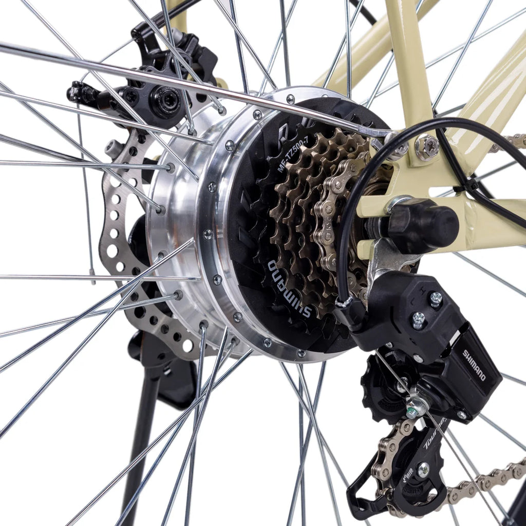 NAKTO Classic 2 Electric Bike