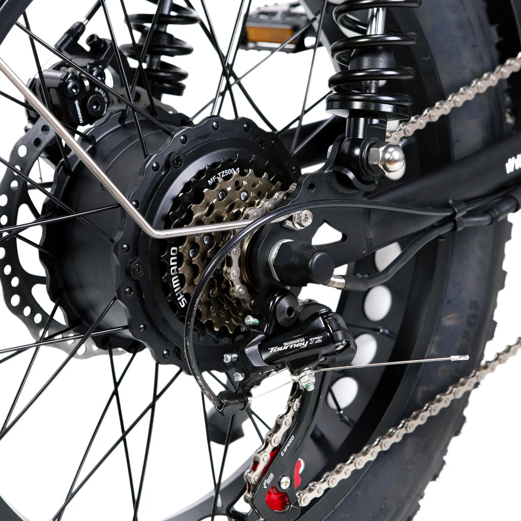 NAKTO F2 Plus 750W Electric Bike