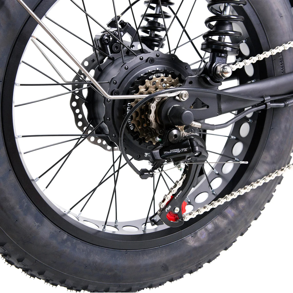 NAKTO F2 Plus 750W Electric Bike