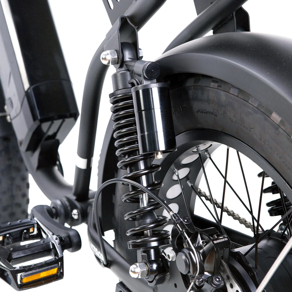 NAKTO F2 Plus 750W Electric Bike