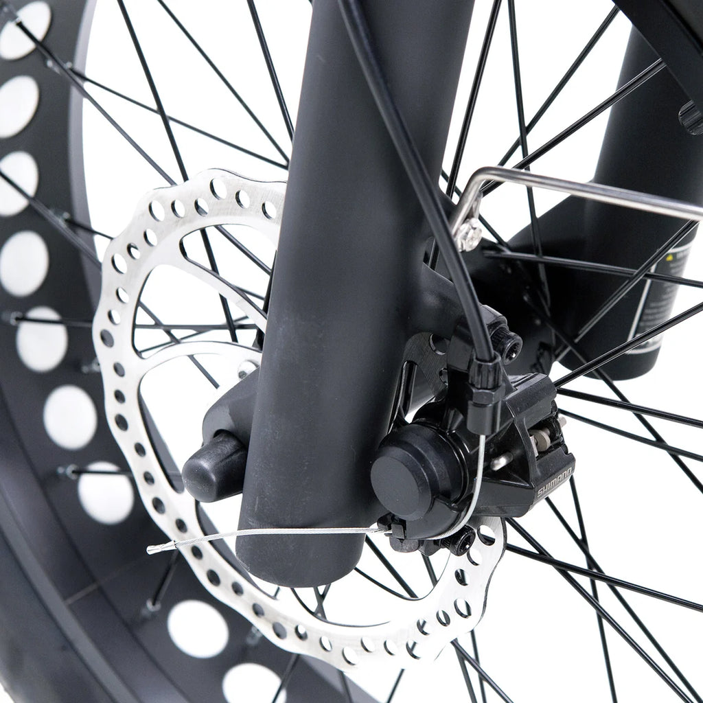 NAKTO F2 Plus 750W Electric Bike