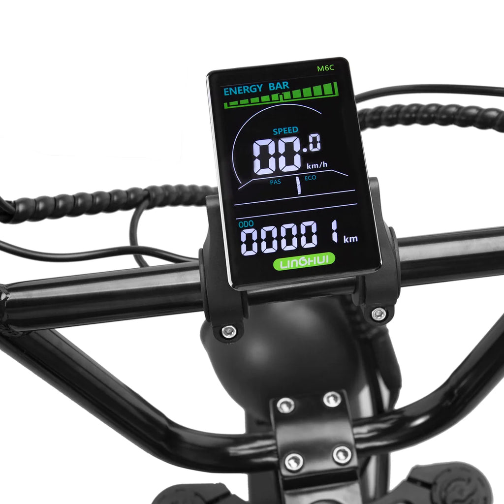 NAKTO F2 Plus 750W Electric Bike