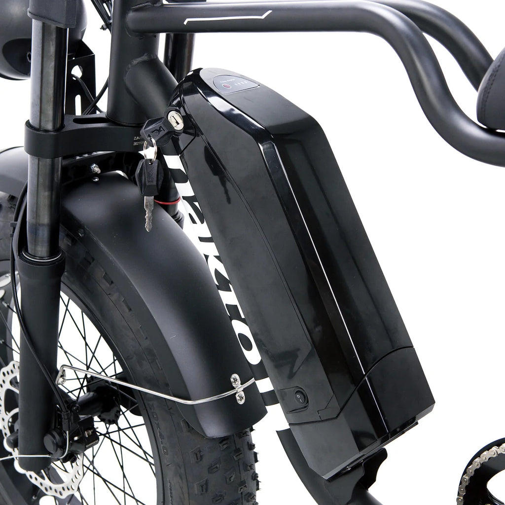 NAKTO F2 Plus 750W Electric Bike