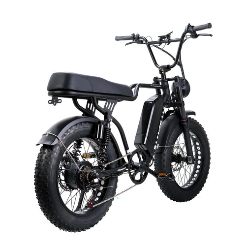 NAKTO F2 Plus 750W Electric Bike