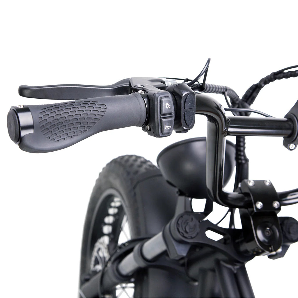 NAKTO F2 Plus 750W Electric Bike