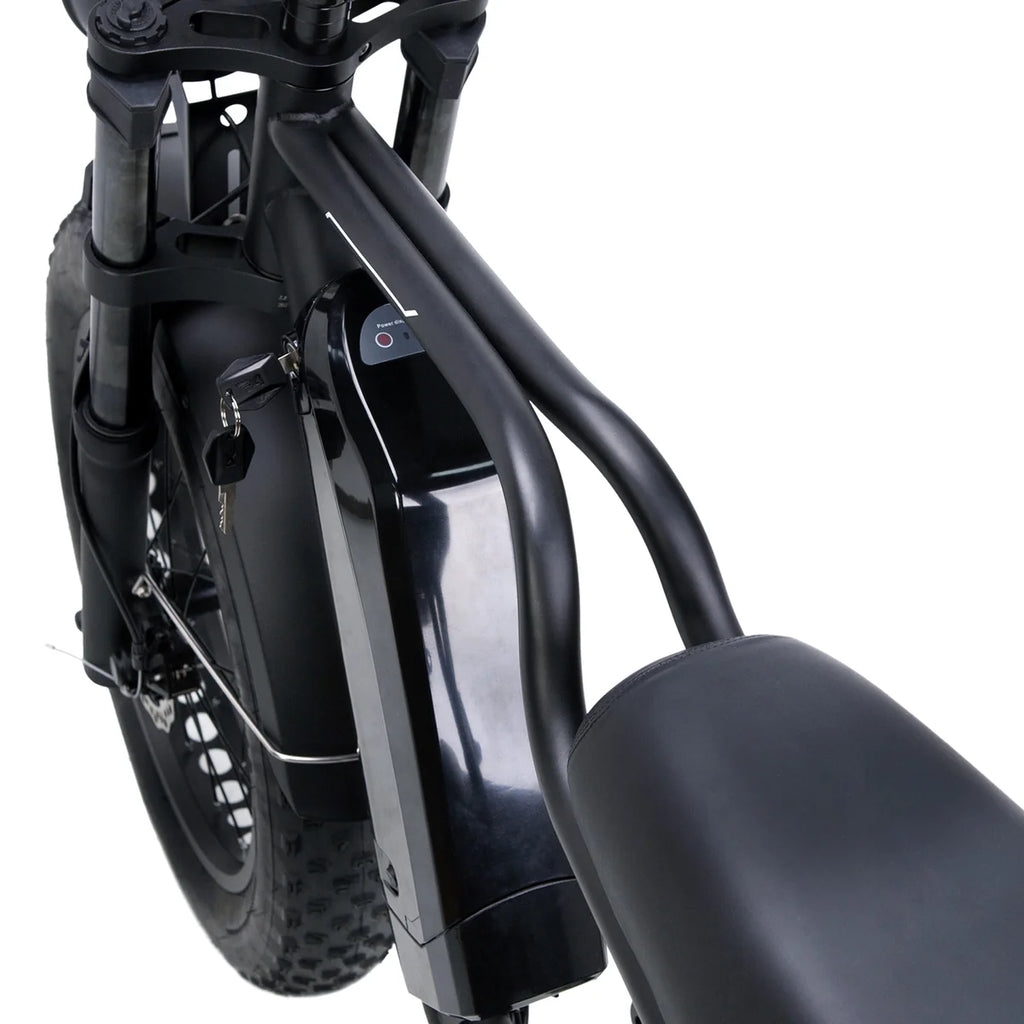 NAKTO F2 Plus 750W Electric Bike