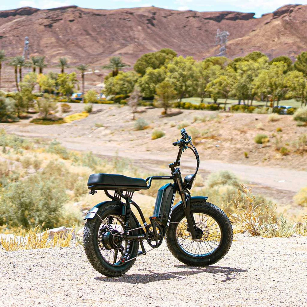 NAKTO F2 Plus 750W Electric Bike