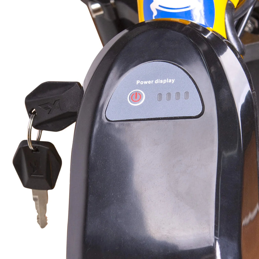 NAKTO F4 750W Electric Bike