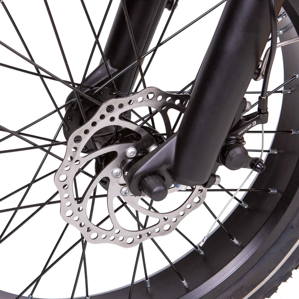 NAKTO F4 750W Electric Bike