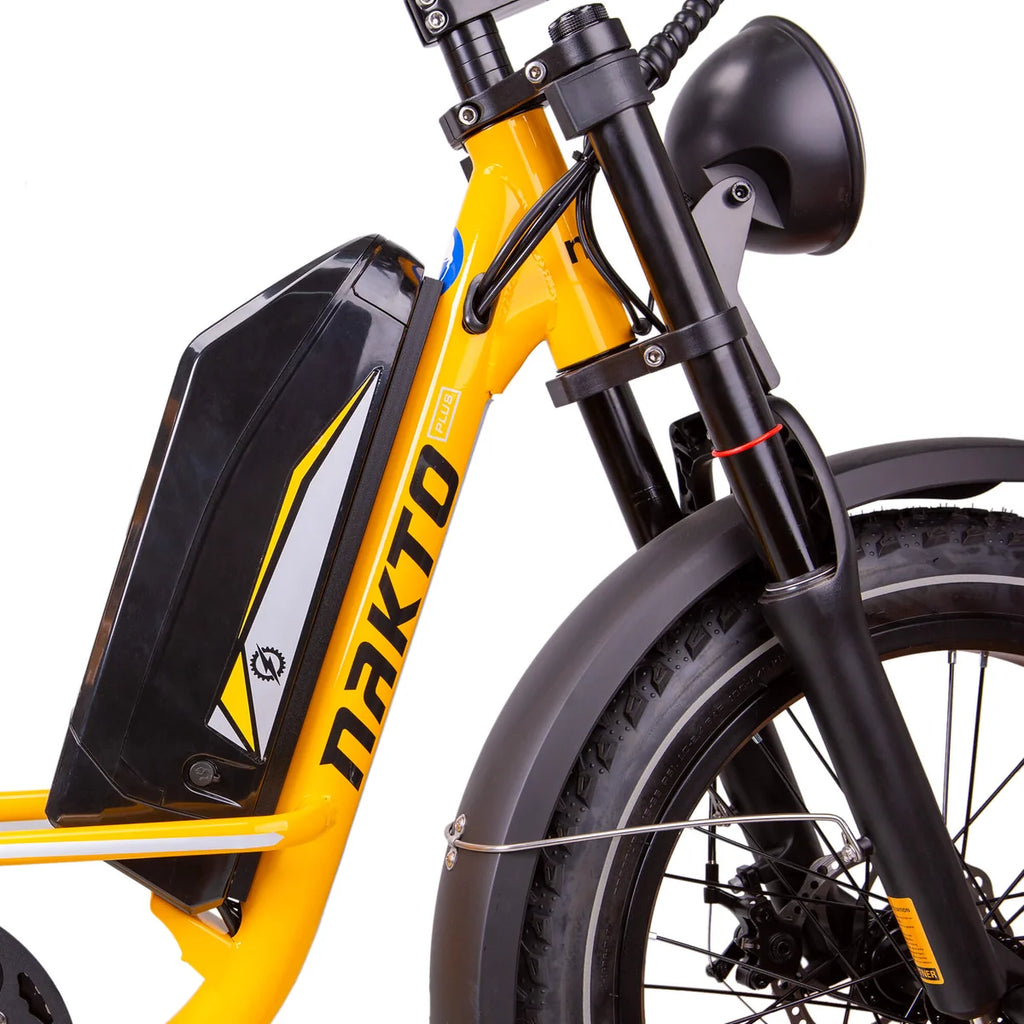 NAKTO F4 750W Electric Bike