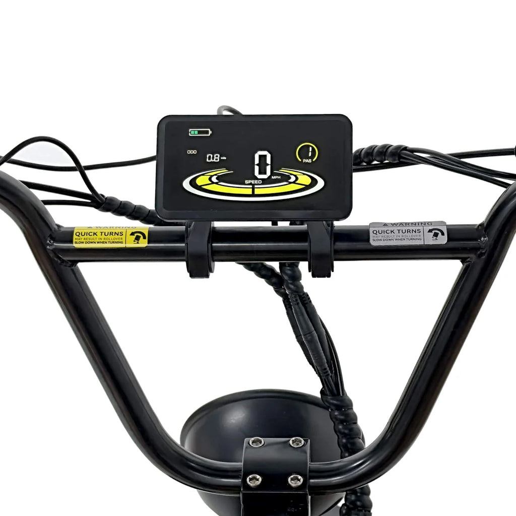 NAKTO F4 750W Electric Bike