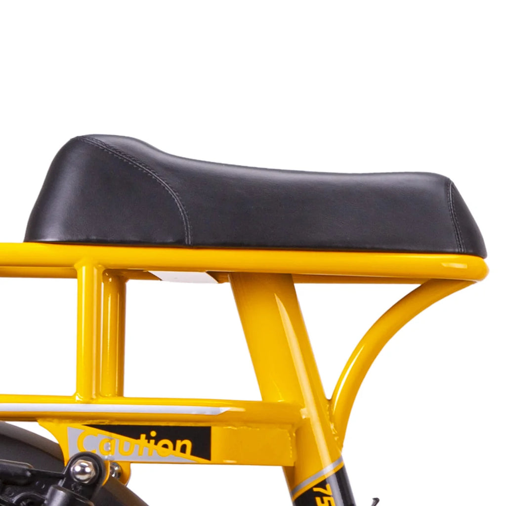 NAKTO F4 750W Electric Bike