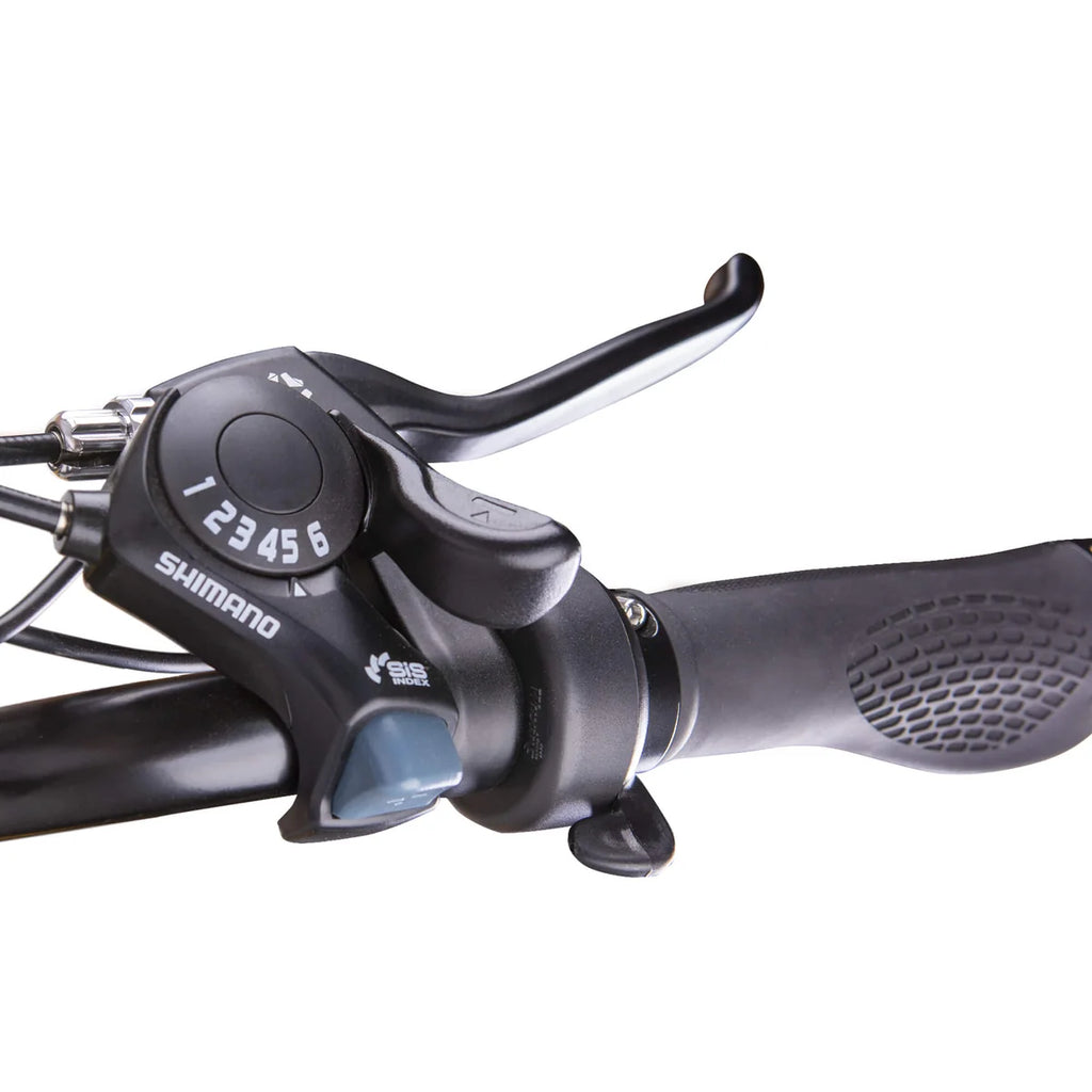 NAKTO F4 750W Electric Bike