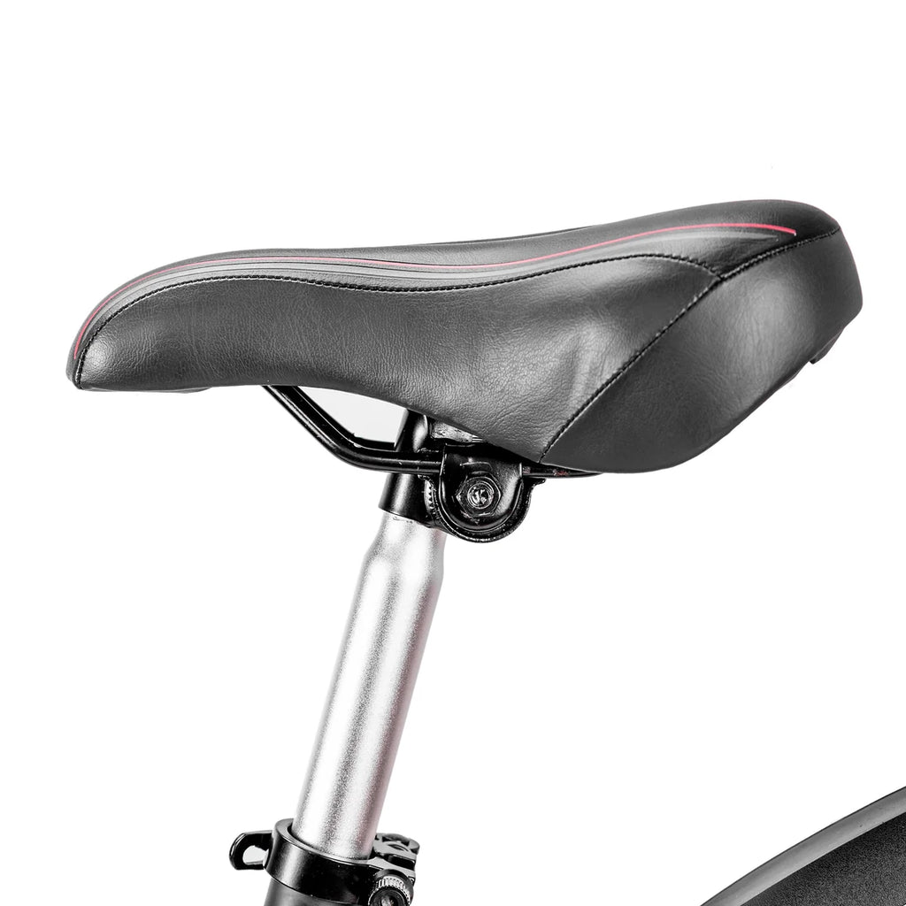 NAKTO Ranger 2 Electric Bike